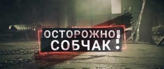 Осторожно, Собчак смотреть онлайн